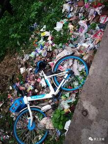 小区自行车爆料视频大全,揭秘日常生活中的温馨瞬间 第3张 小区自行车爆料视频大全,揭秘日常生活中的温馨瞬间 第3张